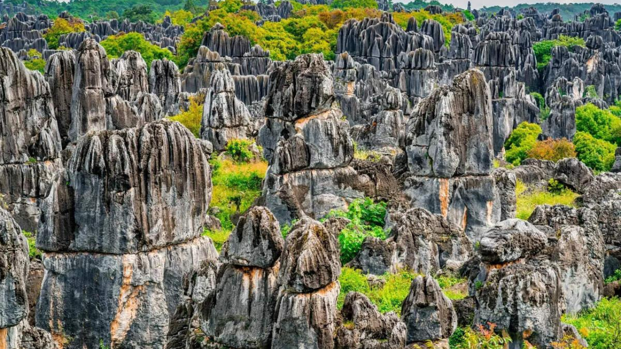 Explore the Extraordinary Stone Forest.jpg