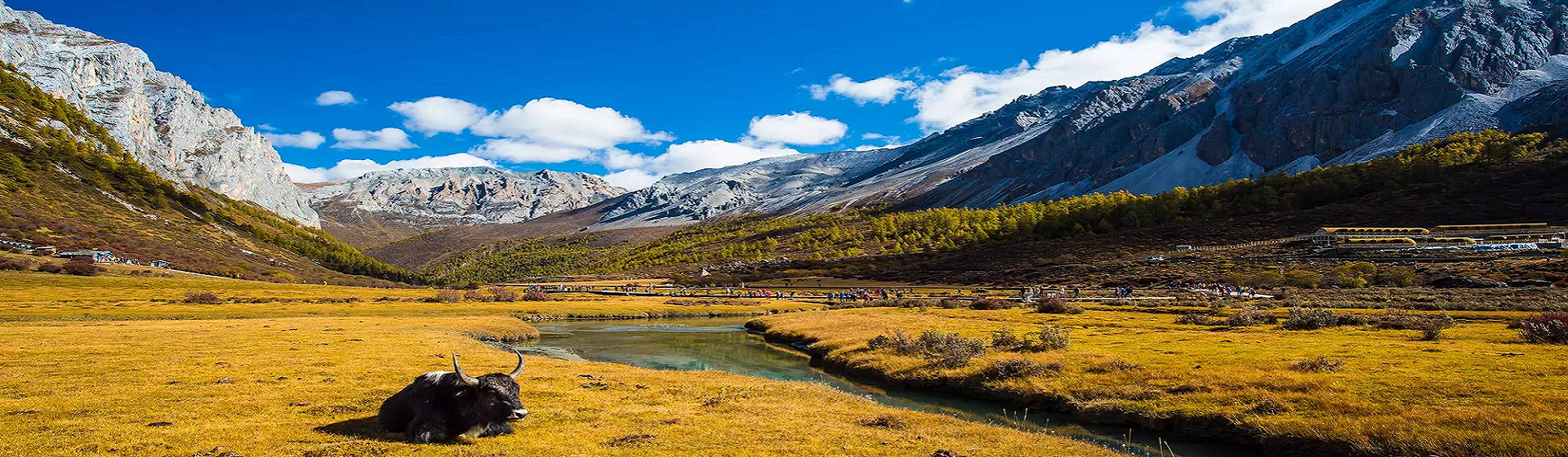Chengdu Classic Tours